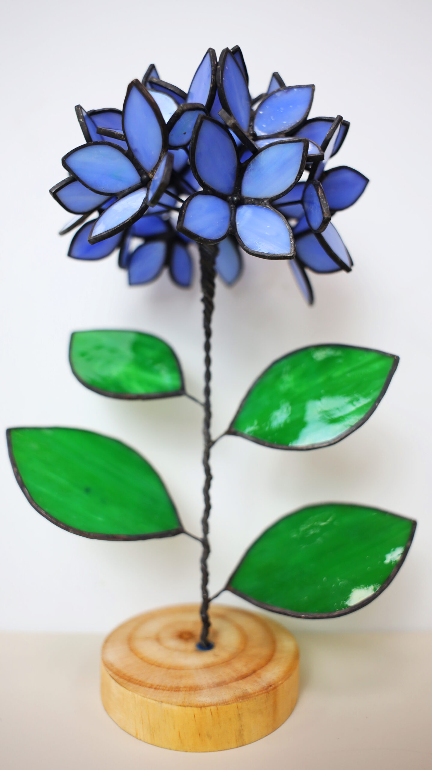 Blue Stained Glass Hydrangea