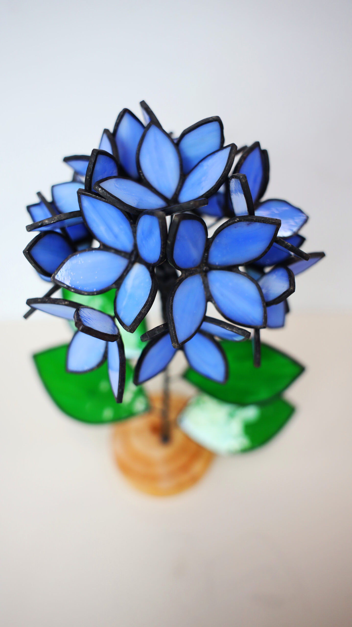 Blue Stained Glass Hydrangea