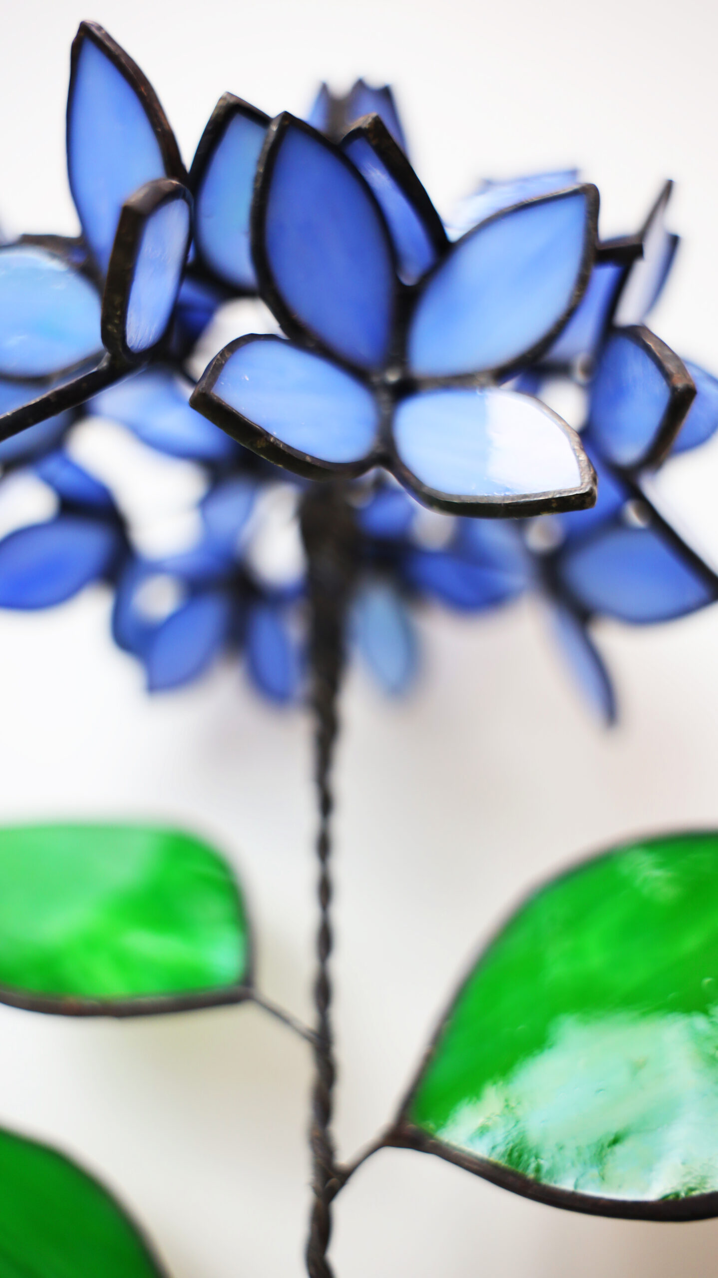 Blue Stained Glass Hydrangea