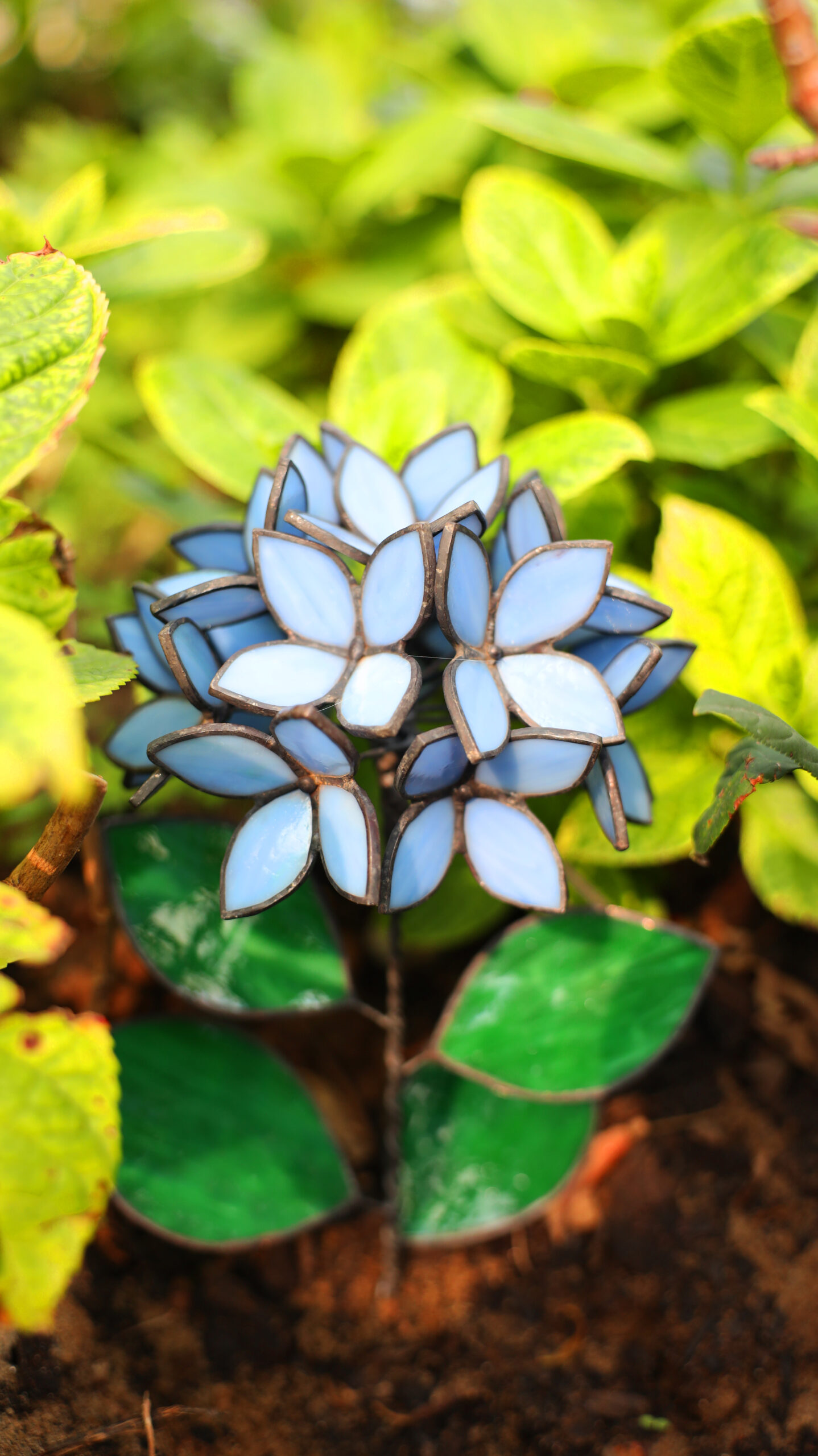 Blue Stained Glass Hydrangea