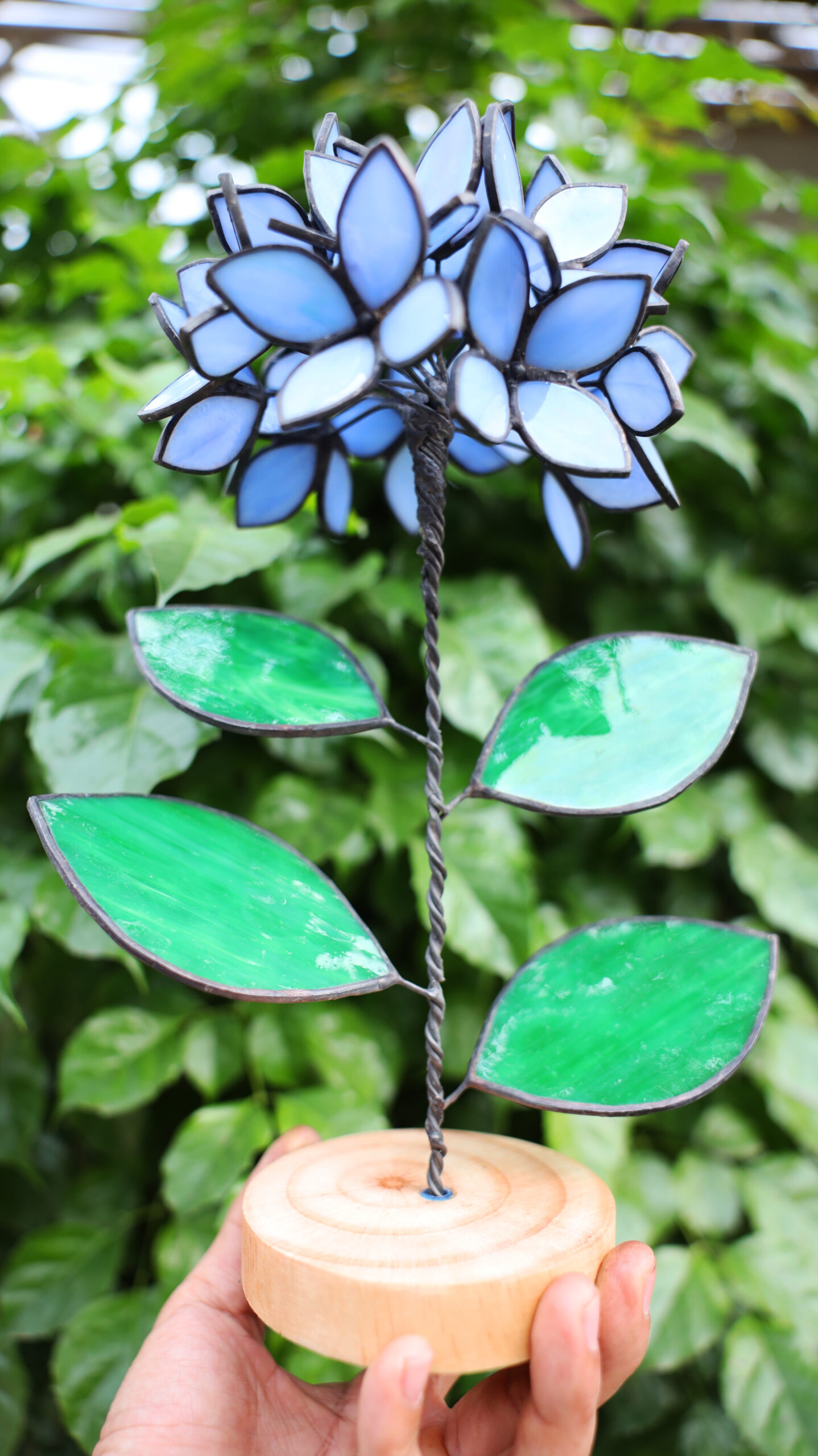 Blue Stained Glass Hydrangea