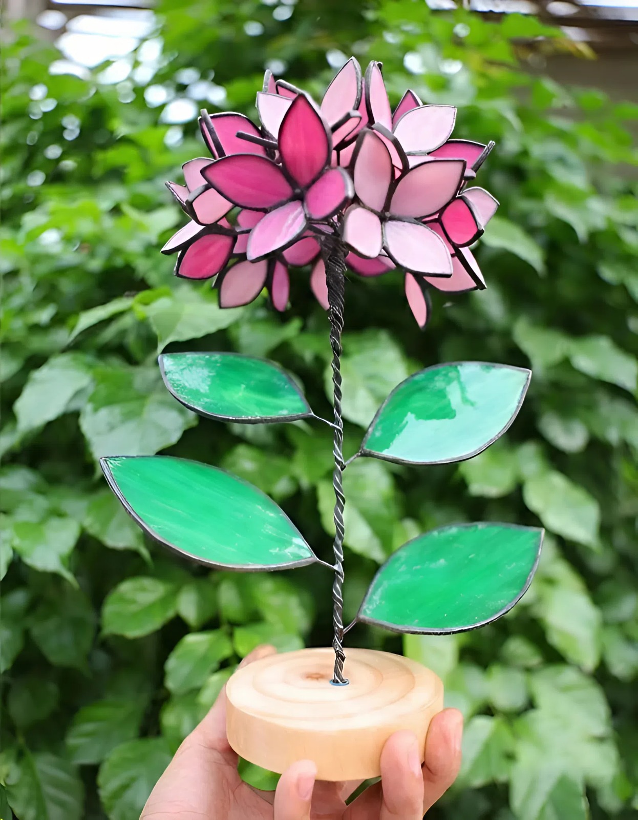 Pink Stained Glass Hydrangea