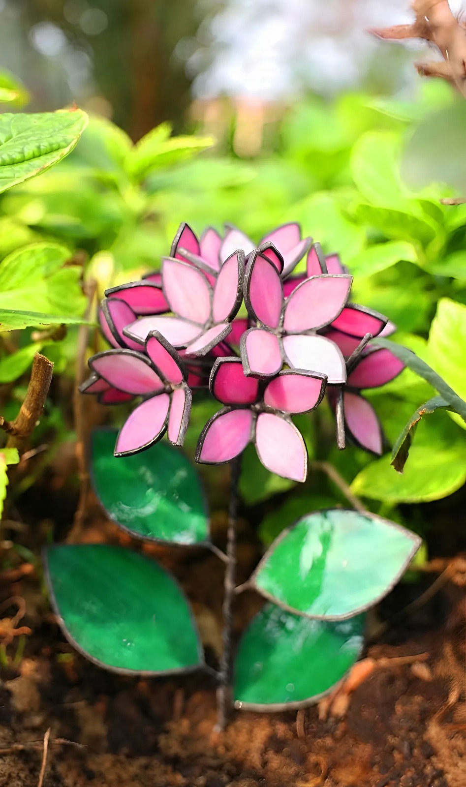 Pink Stained Glass Hydrangea