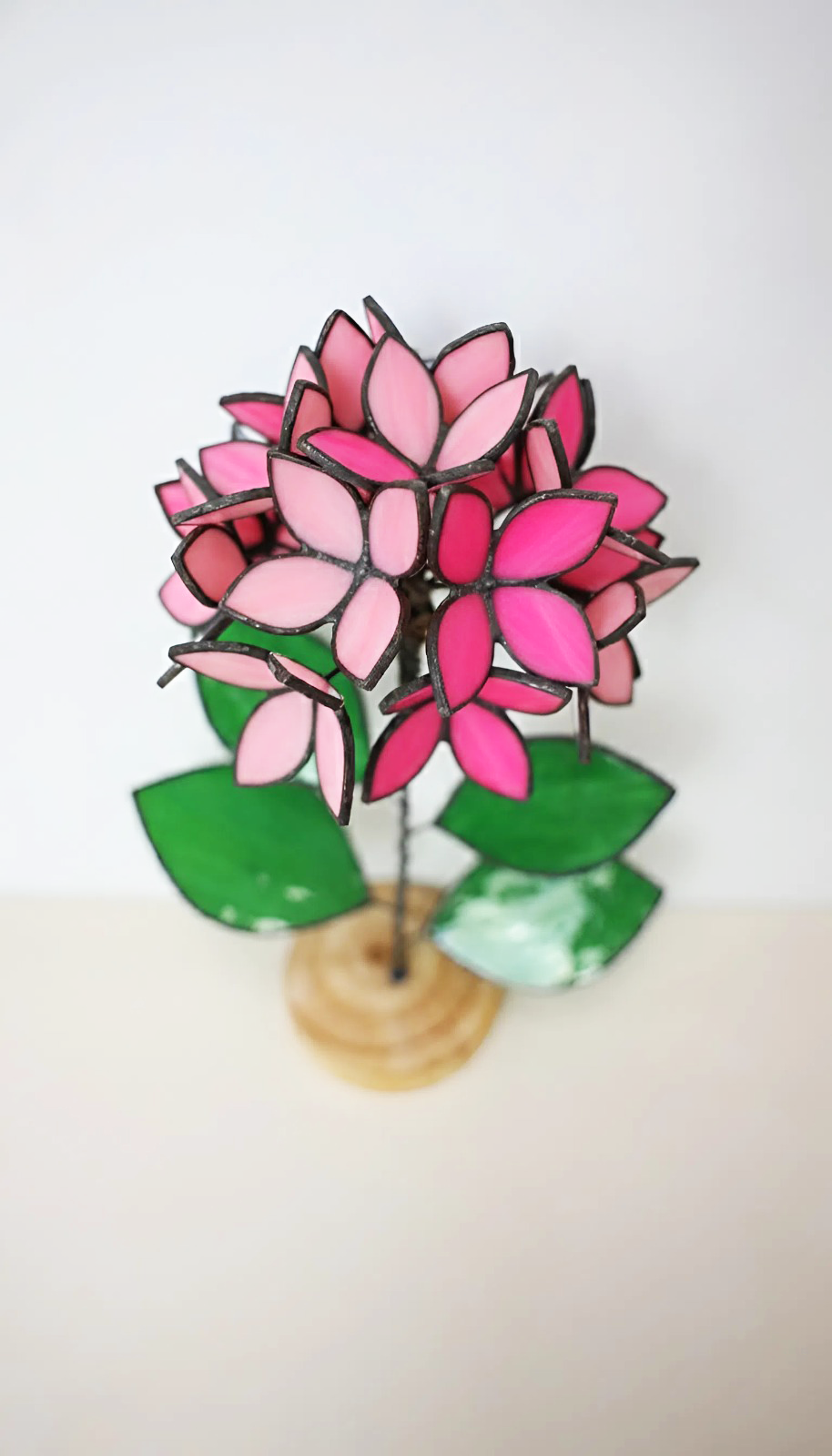 Pink Stained Glass Hydrangea
